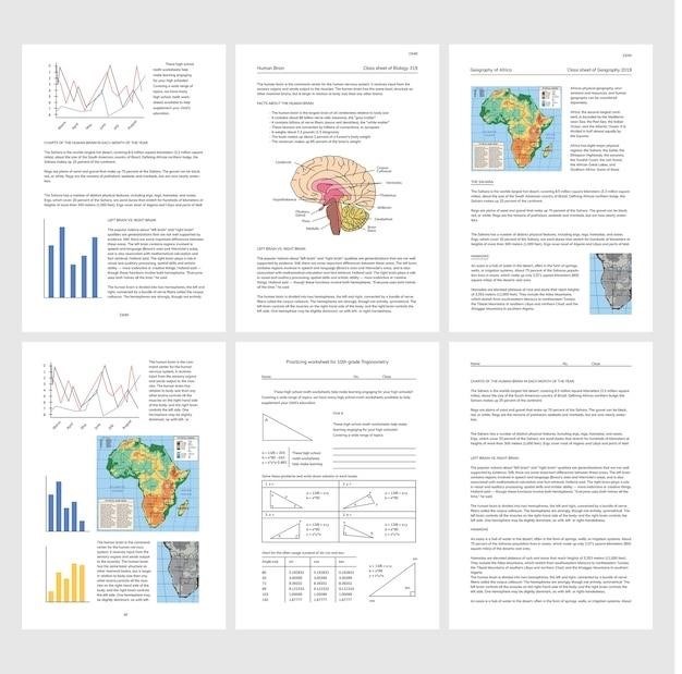 statistics project examples pdf